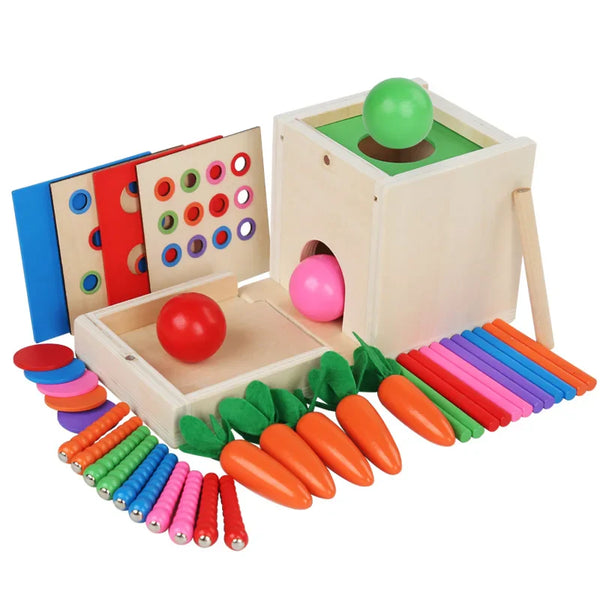 6-in-1 Montessori Holzspielzeug für Kleinkinder**
